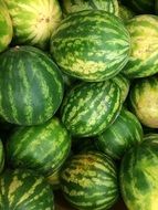 a lot of watermelons in a market