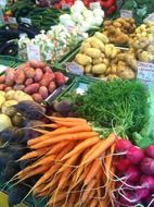 colorful fresh vegetables at market