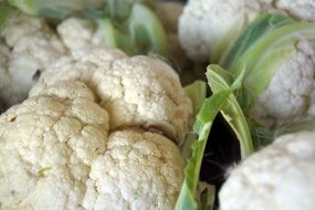 white cauliflower vegetable close-up