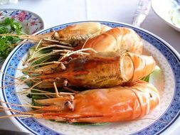 shrimp on a plate