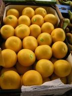 grapefruit in a box for fruit