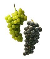 a bunch of green and black grapes