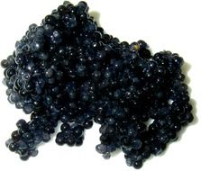 luxury black caviar