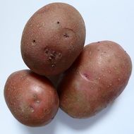 bio organic potatoes