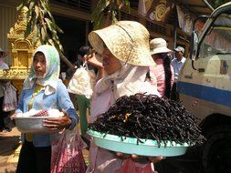 fried tarantulas in cambodia