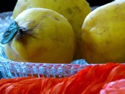 quinces in a plate of glass