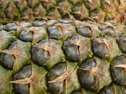 Pineapple closeup