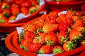 Macro Picture of the lots of strawberries