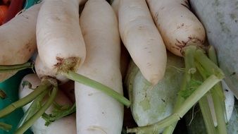 white organic radish