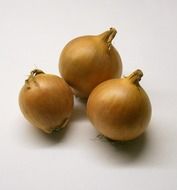 healthy diet onions