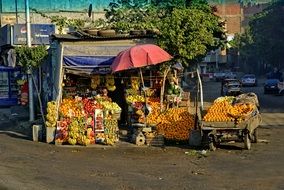fruit on street trading in egypt