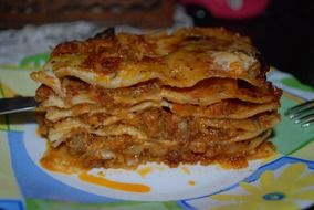 delicious lasagna with tomato sauce