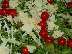 restaurant dinner food salad tomato cheese