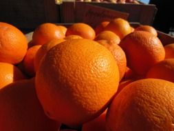 oranges at fruit market close up