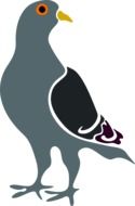 clipart of the grey pigeon