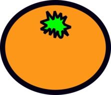 Juicy orange clipart