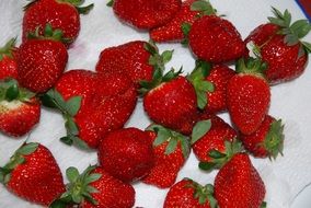 ripe strawberries on a white plate