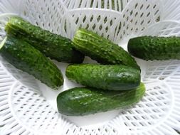 green fresh cucumber vegetables close-up