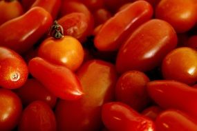 red organic tomatoes in a crate