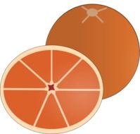 painted cut orange citrus at white background