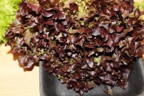 brown lettuce leaves close-up