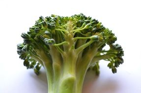 broccoli vegetablesvegetarian food