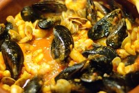 appetizing mussels seafood