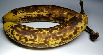 two ripe brown bananas fruits