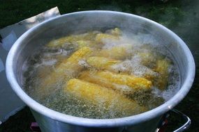 corn in boiling water