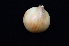 White onion on a black background