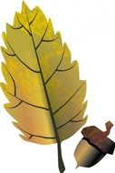 acorn and yellow oak leaf, illustration