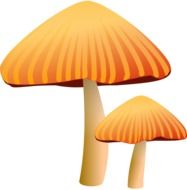 mushrooms with brown hats