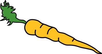 root carrot drawing