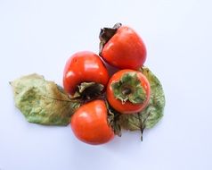 persimmon asian fruit