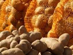 potatoes in a grid