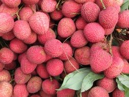 pile of litchi fruits