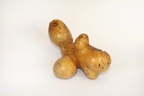 unusual potato