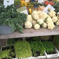 vegetable counter in the market