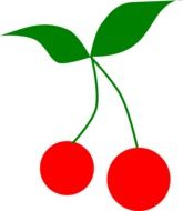 cherries fruit drawing