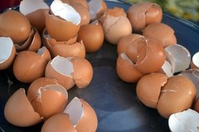 broken eggshell on the table