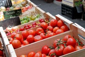 tomato crates on the market