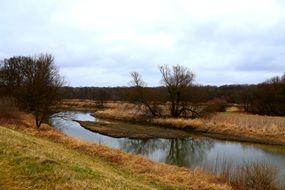 landscape of river odra in Poland