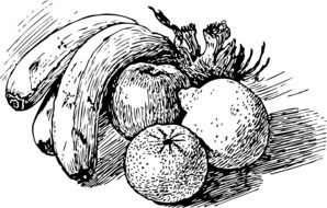 fruits