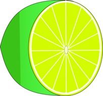 Picture of green lime