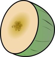 drawn half melon