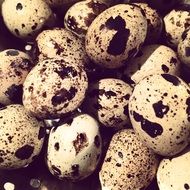 appetizing easter healthy diet