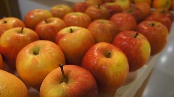 fresh apple fruits on the street market