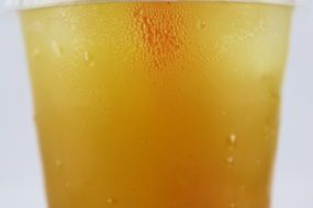 orange fresh cold vitamins drink
