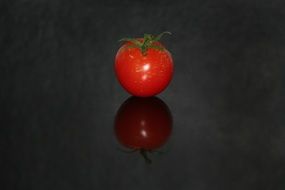 italian tomato