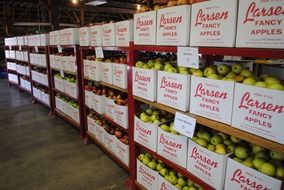 apples in boxes in stock in California